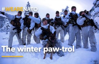 The winter paw-trol 🐾