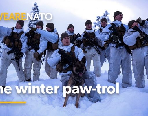The winter paw-trol 🐾