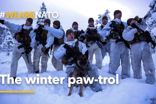 The winter paw-trol 🐾